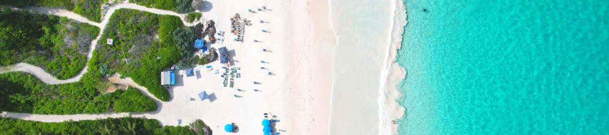 Custom Harbour Island All-Inclusive Experiences - Conch & Coconut