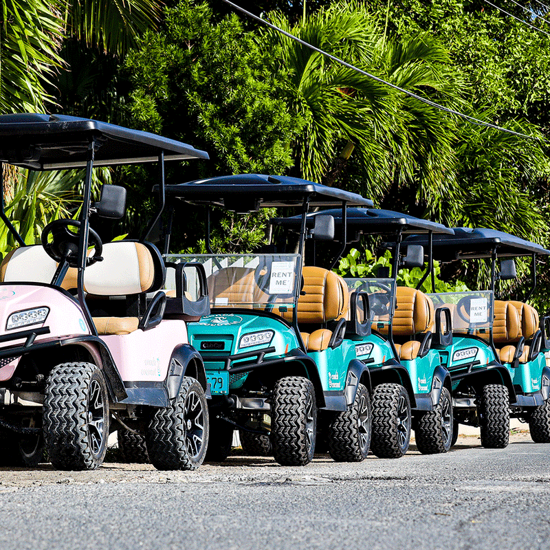 Golf Cart Rentals Conch & Coconut