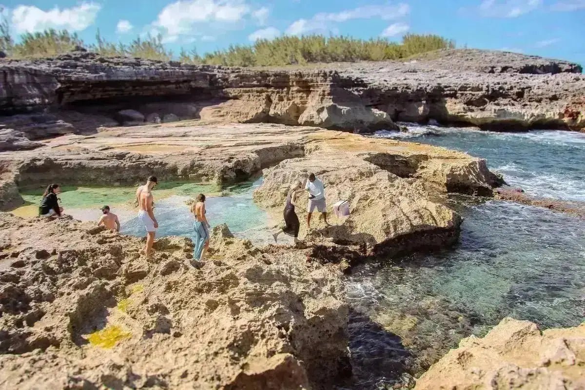 Eleuthera Adventure Experience - Conch &amp; Coconut - Harbour Island, Bahamas