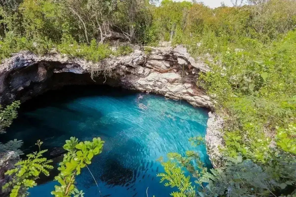 Eleuthera Adventure Experience - Conch &amp; Coconut - Harbour Island, Bahamas