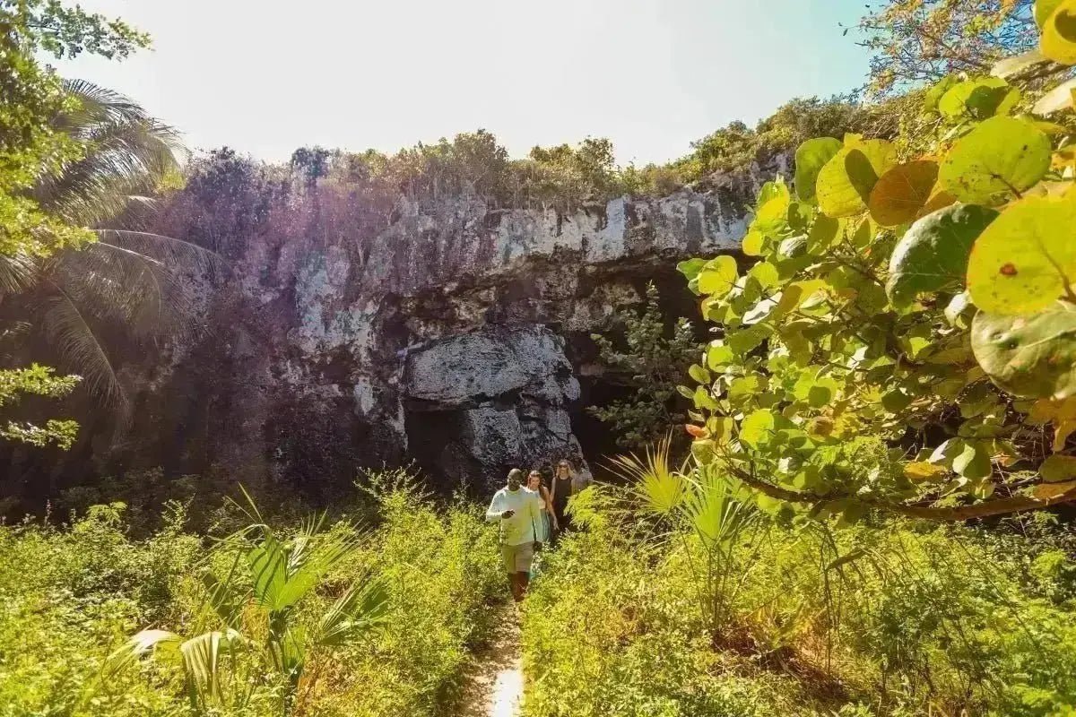 Eleuthera Adventure Experience - Conch &amp; Coconut - Harbour Island, Bahamas