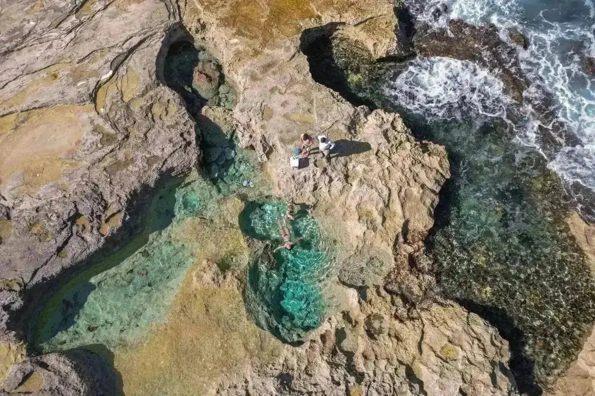 Eleuthera Adventure Experience - Conch &amp; Coconut - Harbour Island, Bahamas