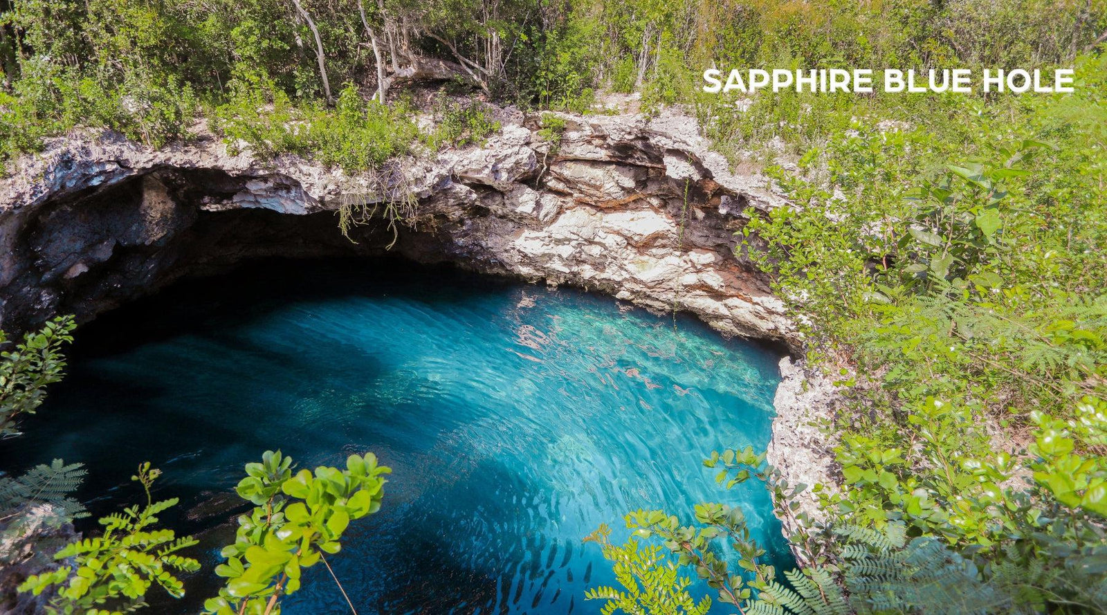 Eleuthera Land Tour - Conch & Coconut - Harbour Island, Bahamas