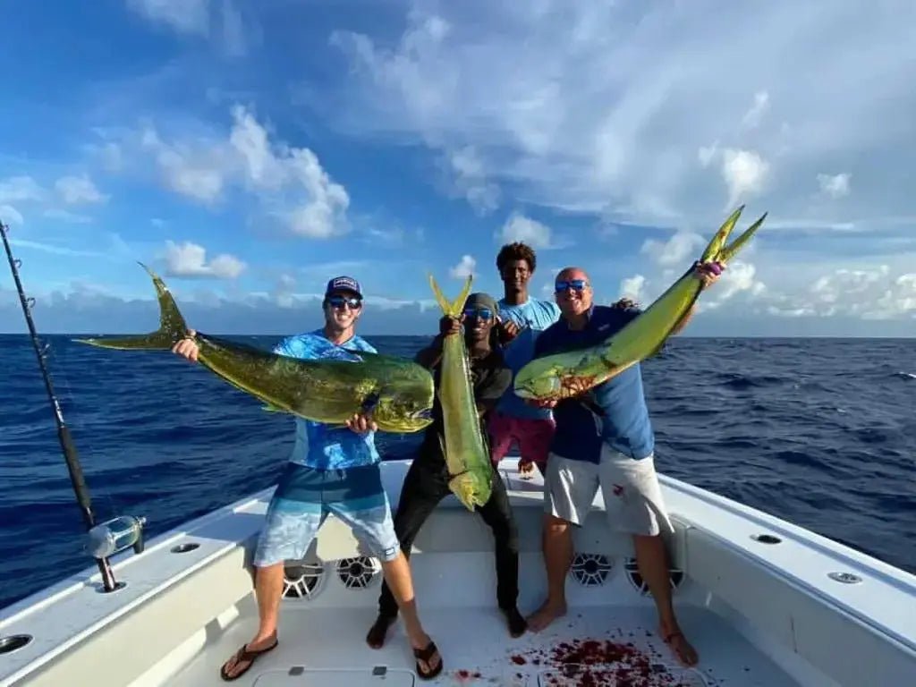 Harbour Island Deep Sea Fishing - Conch &amp; Coconut - Harbour Island, Bahamas