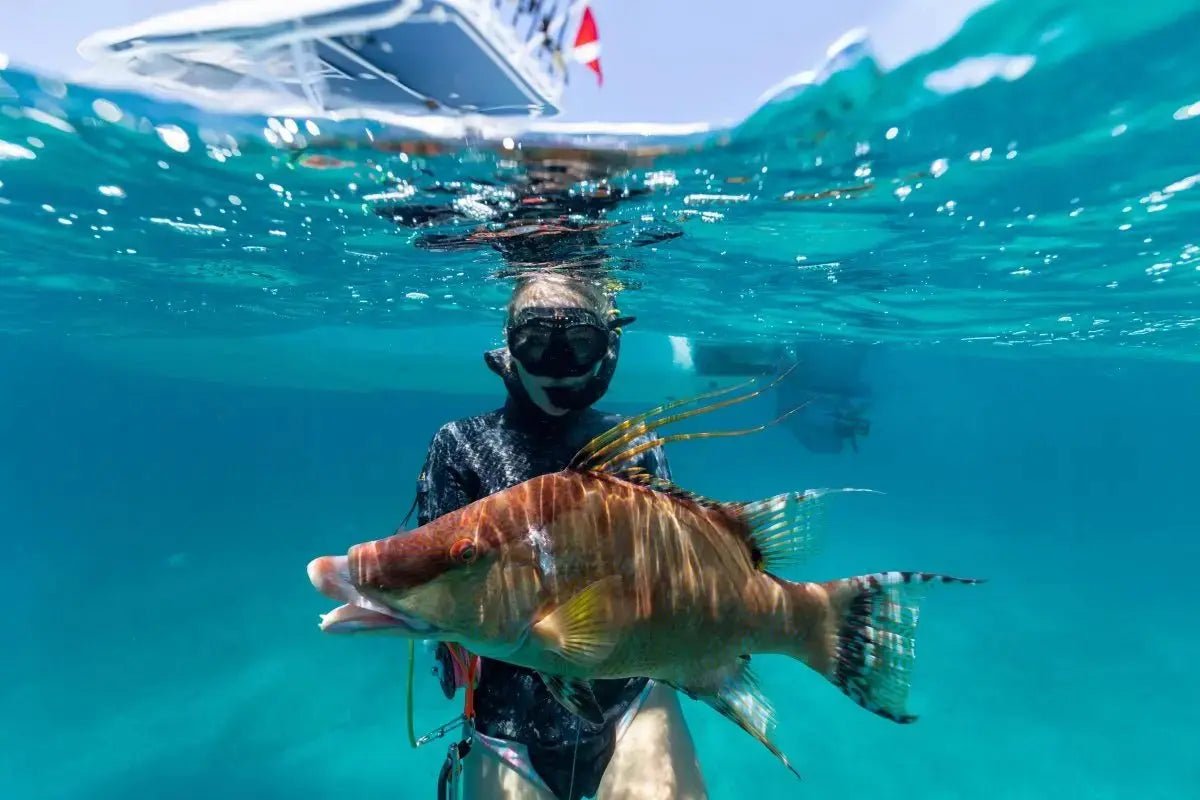 Harbour Island Spearfishing - Conch &amp; Coconut - Harbour Island, Bahamas