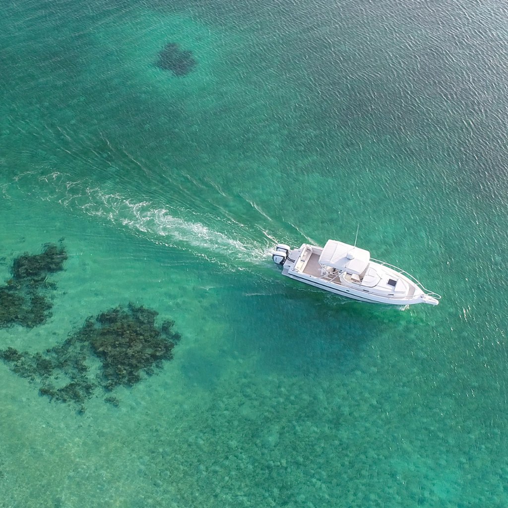 Harbour Island Bahamas by Sea - Conch & Coconut